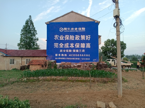 东至墙体广告的优劣势你知道吗？